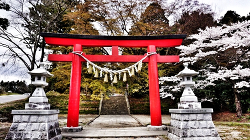 拉斯维加斯必去的购物、餐饮和娱乐圣地